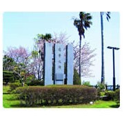 鹿儿岛国际大学（鹿児島国際大学）