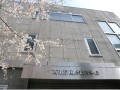 西东京国际教育学院校园风光 (2)