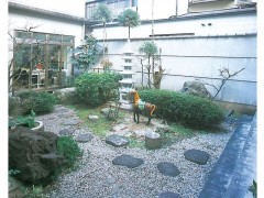 京都国际学院校内日式园庭