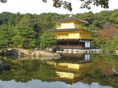 京都国际学院校园周边的金阁寺。