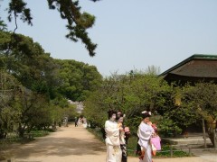 京都国际学院校园周边的北野天满宫１