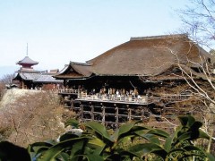 京都国际学院校园周边的清水寺