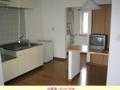 北海道苫小牧驹泽大学住所