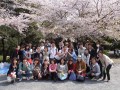 东京银星日本语学校看樱花会