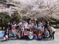 东京银星日本语学校看樱花会 (5)