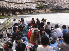 ２０１１年４月１１日，东京银星日本语学校组织部分同学去了学校附近的芝公园看樱花会。
