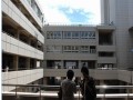 驹澤大学的校园风光 (1)
