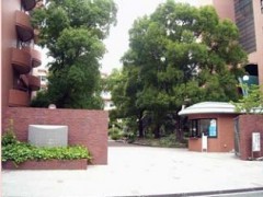 东大阪大学敬爱高级中学 校园风光 