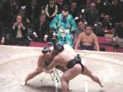 KEN日本语学校课外活动  观看相扑