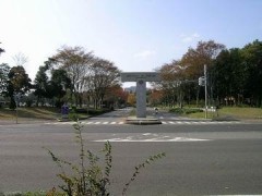 简介：