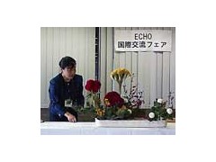 日本文化体验---ECHO国际交流展（10.24）