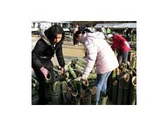 阪神大震灾慰灵节·慰灵节运营义工活动動（1.18）