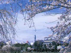 简介：