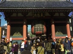 简介：