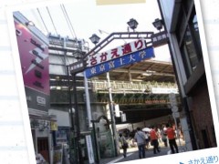 东进日本语学院课外活动 