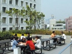 日本学生支援机构东京日本语教育中心课外活动 