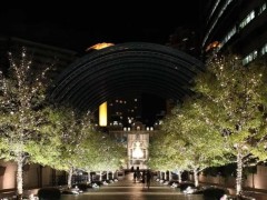 惠比寿花园广场圣诞点灯节，水晶灯 、圣诞树 打造完美约会圣地。