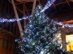 东京中城内巨大圣诞树