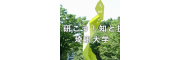 埼玉大学