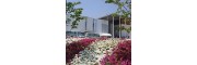 神户夙川学院大学
