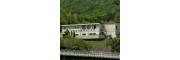 国际综合健康专门学校日本语科（国際総合健康専門学校日本語科）