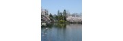 滋贺大学（滋賀大学）