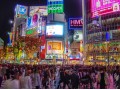 在日完全打工手册2勇敢面对异乡打工生活