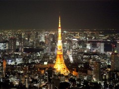 东京夜景

　　好像打翻了宝石箱那样的极美夜景！请从东京都厅或东京塔享受这大都会东京的美丽夜
