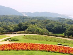 简介：