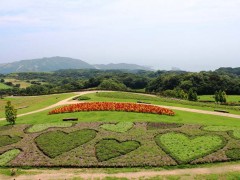 简介：