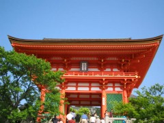 简介：