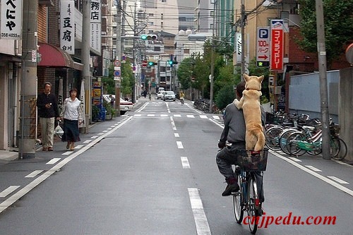 日本街头的人与狗