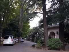  东京学芸大学附属高校校园一角