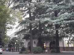  东京学芸大学校园一景