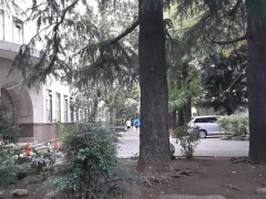  东京学芸大学校园一角