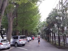  东京学芸大学校园