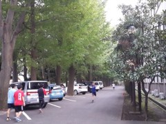 东京学芸大学校园