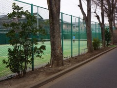 学校网球场
