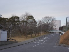 晓星国际高中校园内道路