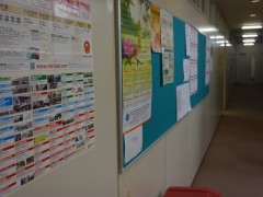 日东国际学院墙上张贴的各种招工升学信息