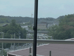 同志社高中教学楼窗前所见