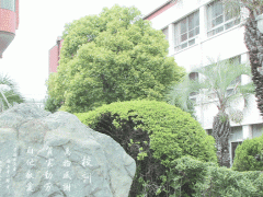 柏原高等学校校园