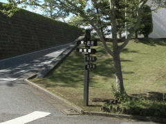 晓星国际高等学校校园