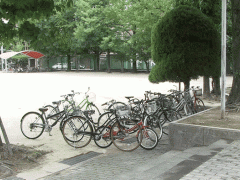 冲学园高等学校自行车放置处
