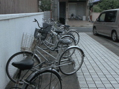  京都励学国际学院自行车放置处