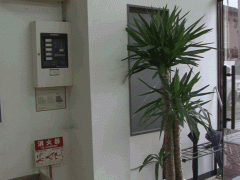  京都励学国际学院楼道一角