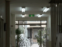  京都励学国际学院楼道 一角