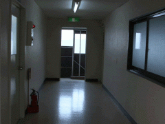  京都励学国际学院楼道