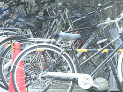 八王子高等学校自行车停放处
