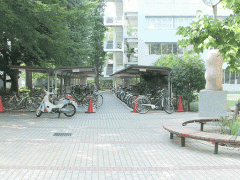 八王子高等学校校园